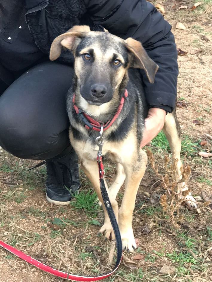 Tierheim Neumarkt i.d.Opf