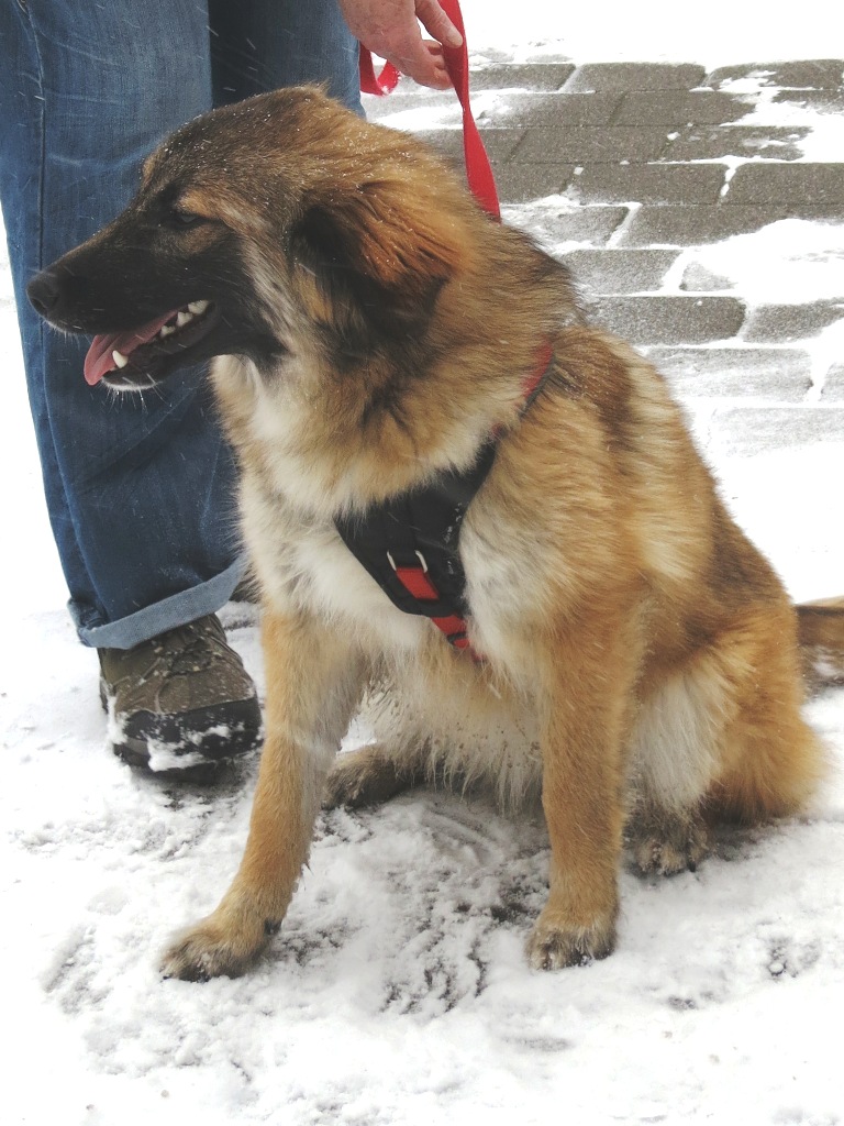 Tierheim Neumarkt i.d.Opf