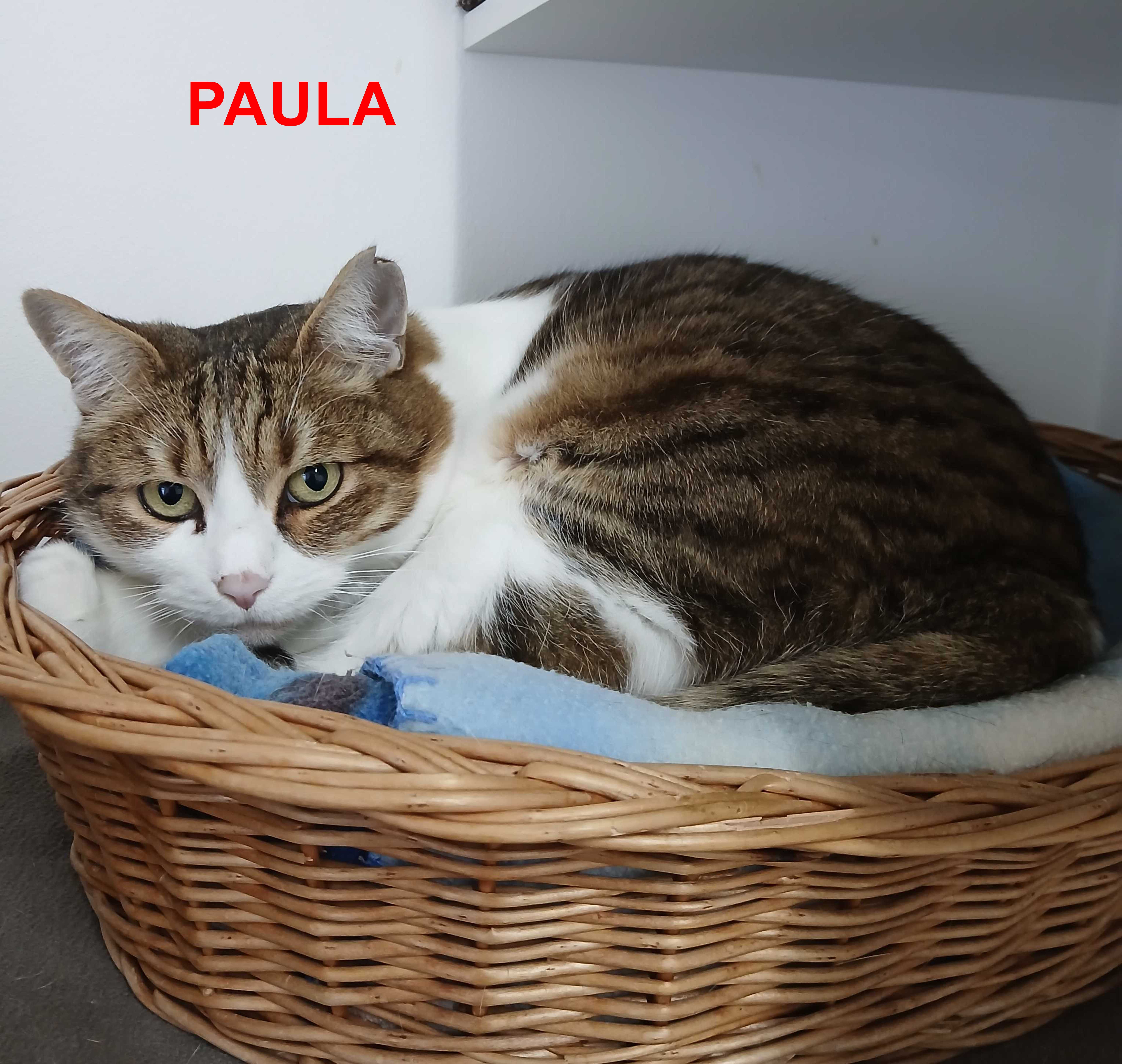 Paula und Lorenz, EKH – Tierheim Neumarkt