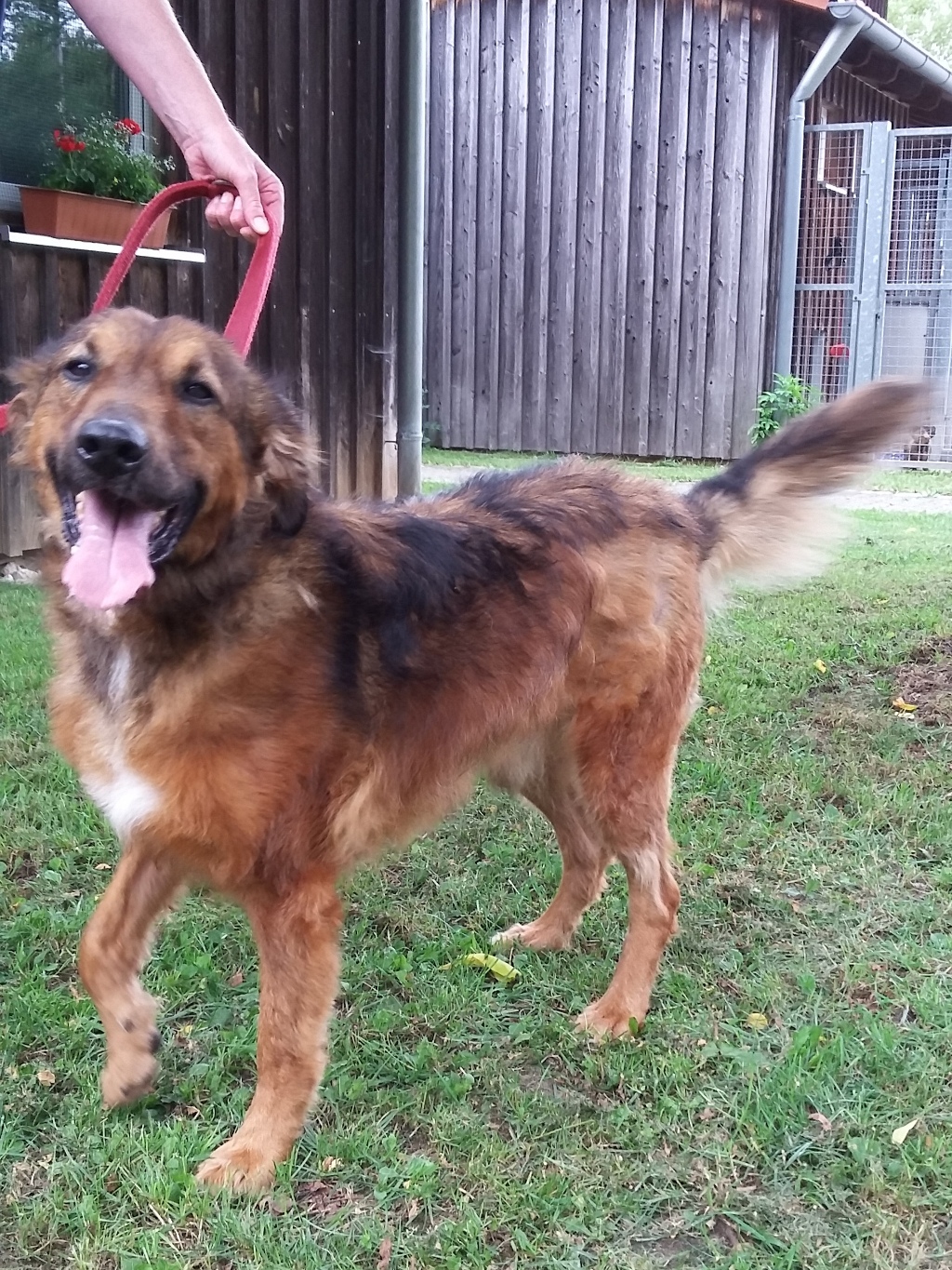 Tierheim Neumarkt i.d.Opf