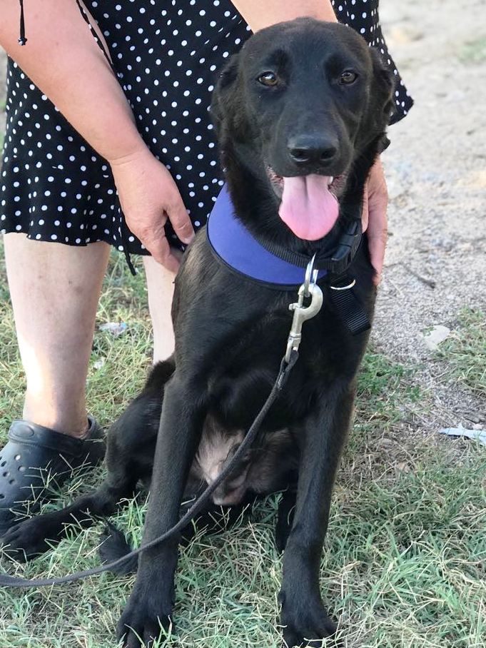 Tierheim Neumarkt i.d.Opf