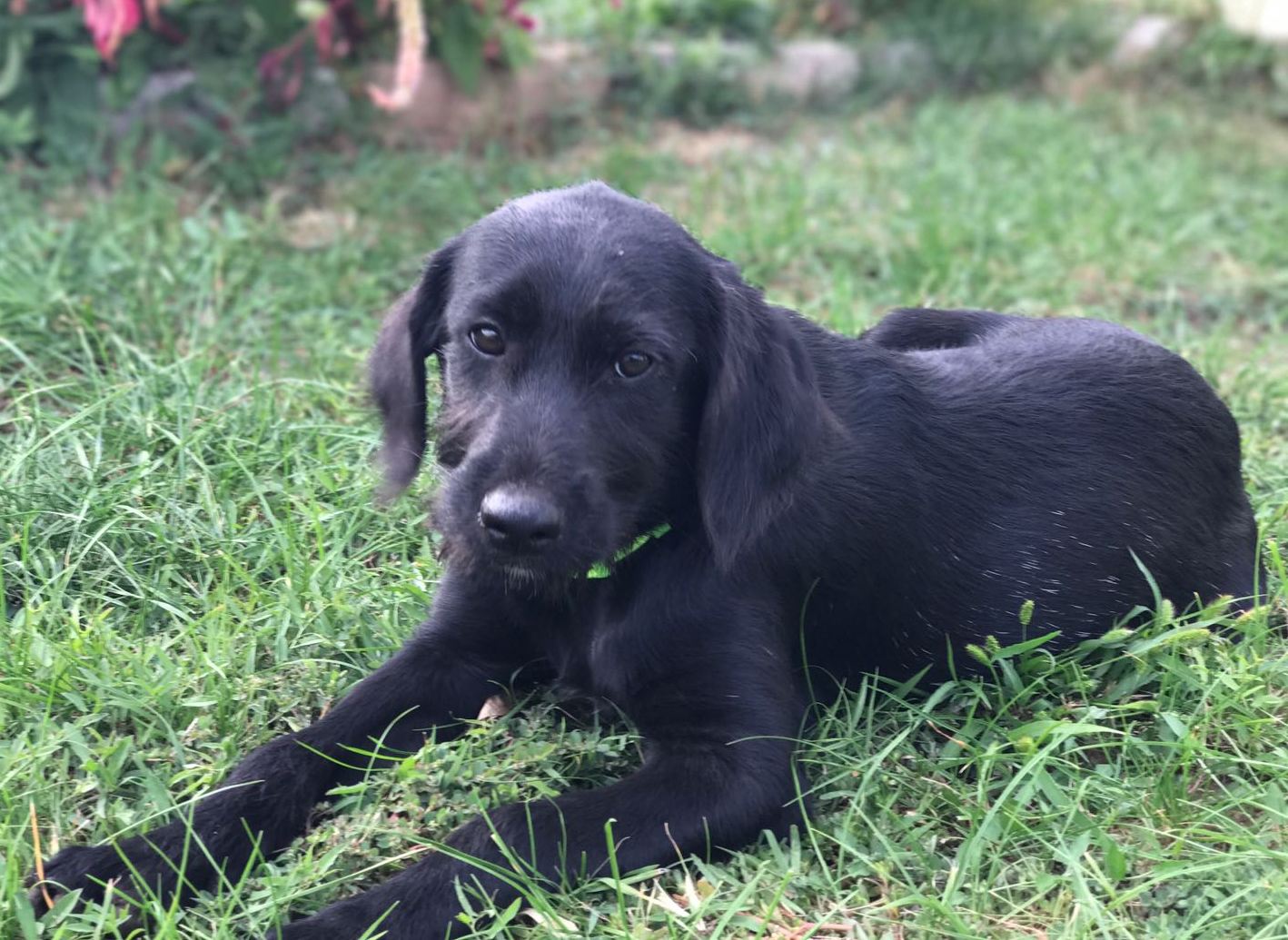 Tierheim Neumarkt i.d.Opf